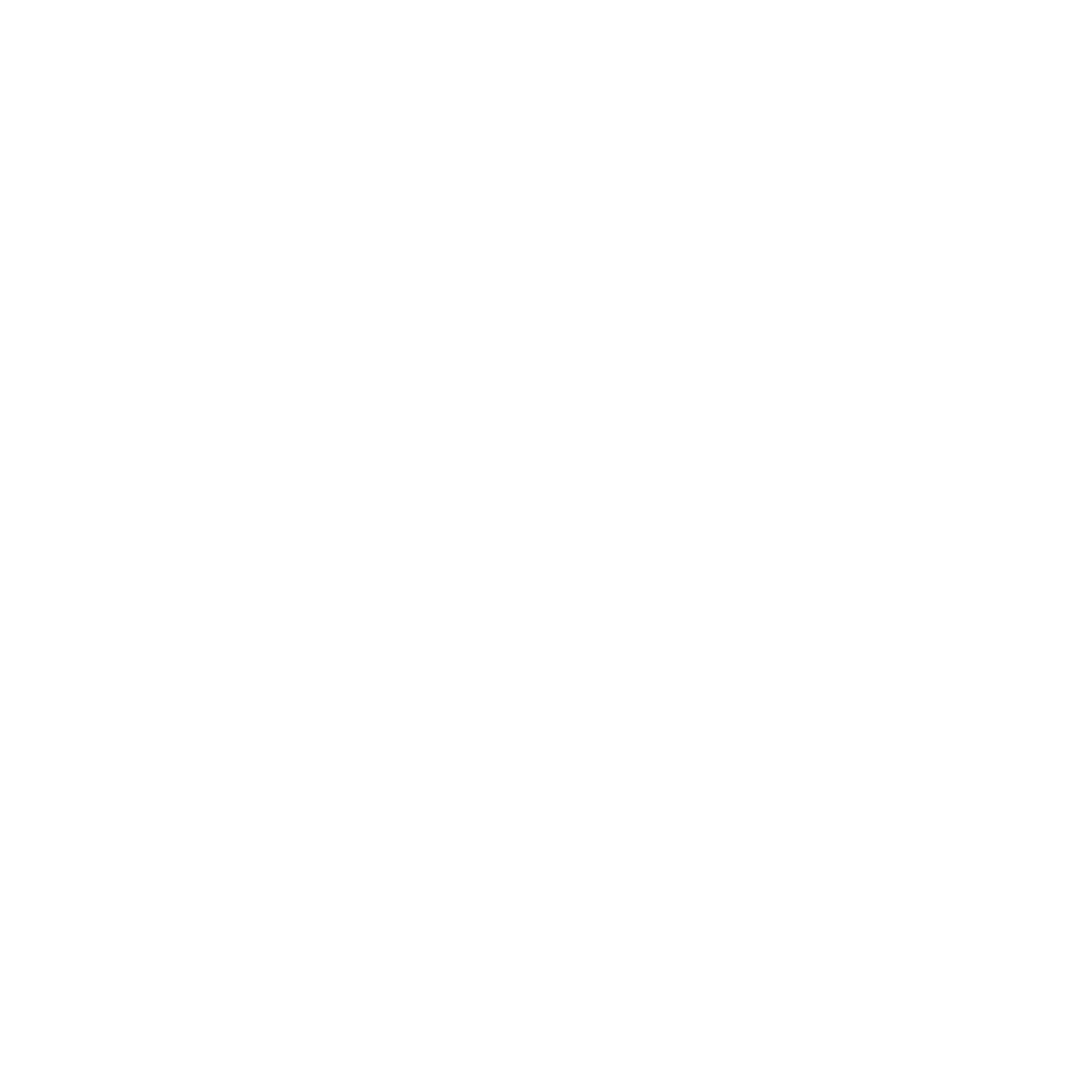 Bellota 100% Ibérico