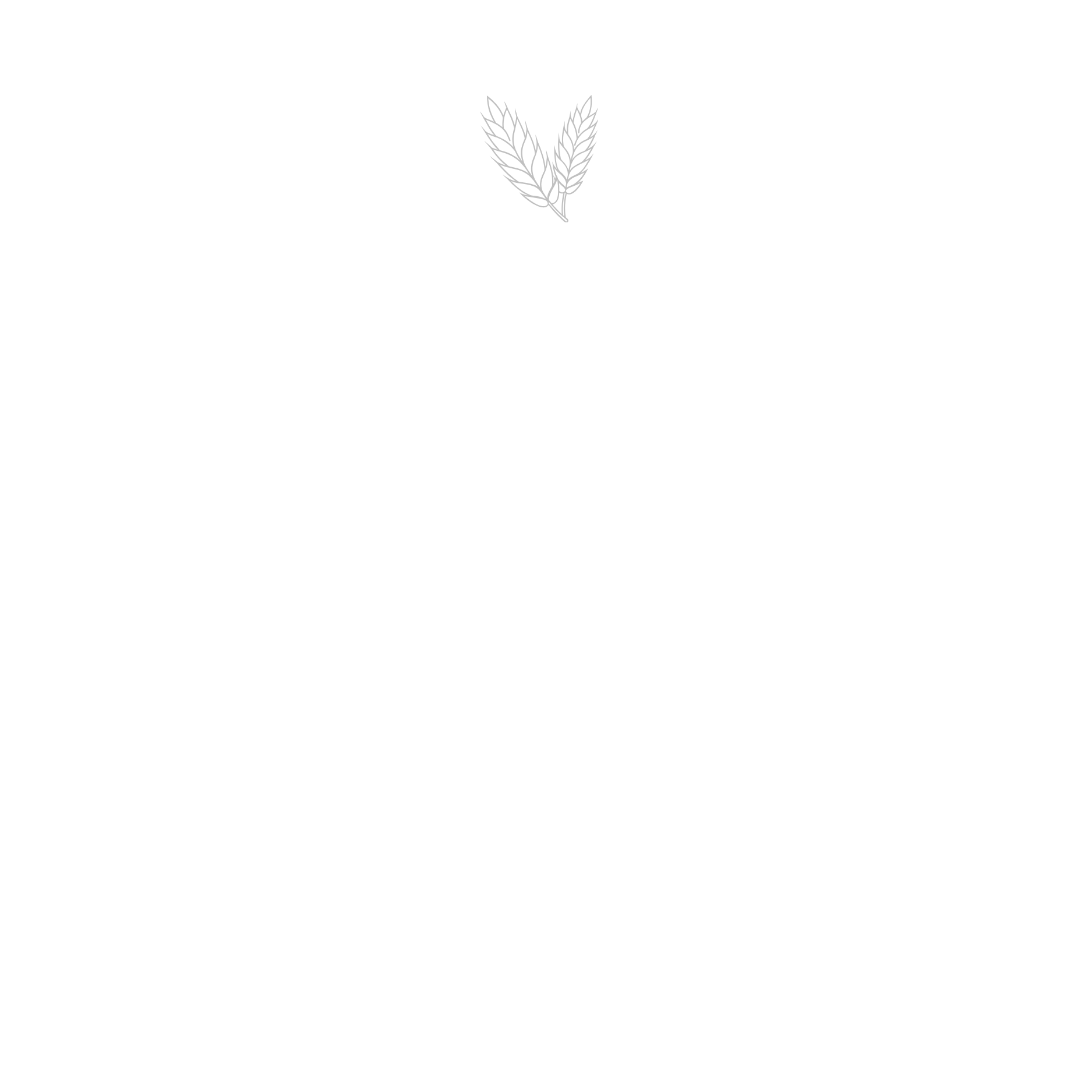 Cebo Ibérico 50% Raza Ibérica
